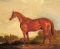 A Portrait Of The Racehorse Harkaway horse John Ferneley Snr